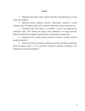 Meditacijos įtaka organizmo fiziologiniams pokyčiams 9 puslapis