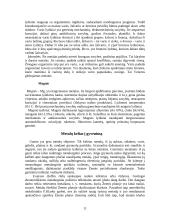 Metalai ir metalų lydiniai 11 puslapis