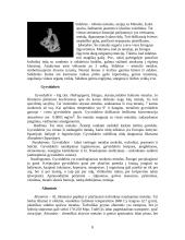 Metalai ir metalų lydiniai 8 puslapis