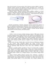 Metalai ir metalų lydiniai 9 puslapis