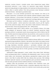 Miestų ir rajonų planavimas 11 puslapis