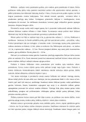 Miestų ir rajonų planavimas 16 puslapis