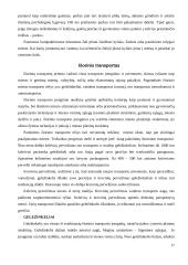 Miestų ir rajonų planavimas 17 puslapis