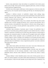 Miestų ir rajonų planavimas 19 puslapis