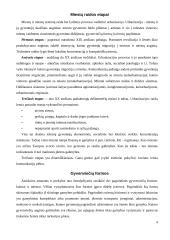 Miestų ir rajonų planavimas 4 puslapis