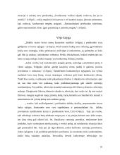 Miyamoto Musashi minčių pritaikymas šiuolaikinėje vadyboje 16 puslapis
