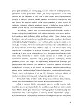 Miyamoto Musashi minčių pritaikymas šiuolaikinėje vadyboje 4 puslapis
