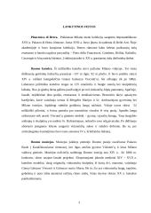 Milano istorija ir mada 3 puslapis