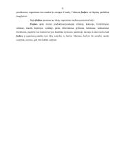 Mineralinės medžiagos. Jų svarba žmogaus organizmui 11 puslapis