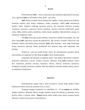 Mineralinės medžiagos. Jų svarba žmogaus organizmui 8 puslapis