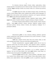 Mineralinės medžiagos. Jų svarba žmogaus organizmui 9 puslapis
