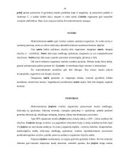 Mineralinės medžiagos. Jų svarba žmogaus organizmui 10 puslapis