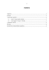 Minties laisvė 2 puslapis