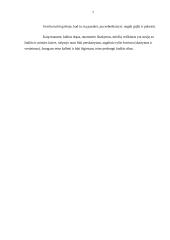 Minties laisvė 7 puslapis