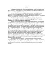 Mirties samprata 2 puslapis