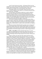 Mirties samprata 4 puslapis