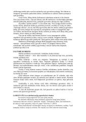 Mirties samprata 5 puslapis