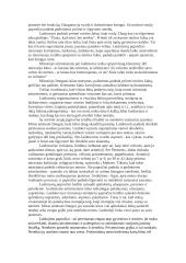 Mirties samprata 6 puslapis