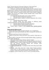 Mirties samprata 7 puslapis