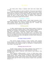 Mityba ir mitybos klaidos 2 puslapis