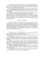 Mityba ir mitybos klaidos 6 puslapis