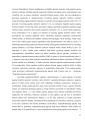 Mokesčiai - svarbiausias valstybės biudžeto pajamų šaltinis 11 puslapis