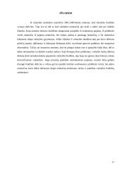 Mokesčiai - svarbiausias valstybės biudžeto pajamų šaltinis 17 puslapis