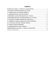 Mokslinių vadybos teorijų taikymas organizacijoje 2 puslapis