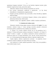 Mokslinių vadybos teorijų taikymas organizacijoje 12 puslapis