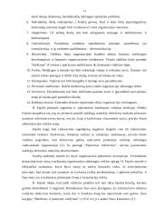 Mokslinių vadybos teorijų taikymas organizacijoje 14 puslapis