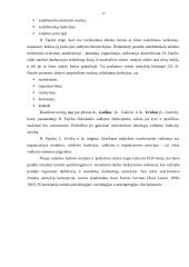 Mokslinių vadybos teorijų taikymas organizacijoje 15 puslapis