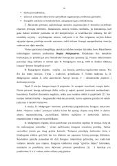 Mokslinių vadybos teorijų taikymas organizacijoje 18 puslapis