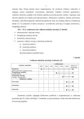 Mokslinių vadybos teorijų taikymas organizacijoje 5 puslapis