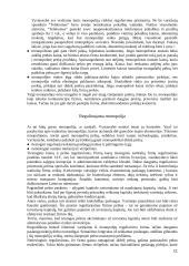 Monopolijų konkurencija 11 puslapis