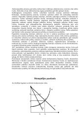 Monopolijų konkurencija 13 puslapis