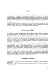 Monopolijų konkurencija 3 puslapis