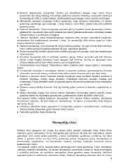 Monopolijų konkurencija 4 puslapis