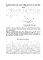 Monopolijų konkurencija 7 puslapis