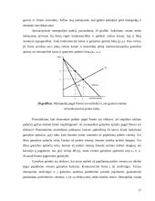 Monopolijų tikslai 17 puslapis