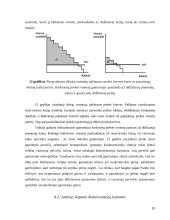Monopolijų tikslai 20 puslapis