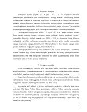 Monopolijų tikslai 4 puslapis