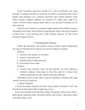 Monopolijų tikslai 5 puslapis