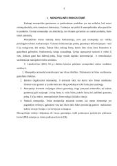 Monopolija bei jos socialiniai ir ekonominiai padariniai 2 puslapis