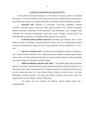 Monopolija bei jos socialiniai ir ekonominiai padariniai 4 puslapis