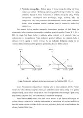 Monopolija bei jos socialiniai ir ekonominiai padariniai 6 puslapis
