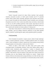 Monopolinė rinka 4 puslapis