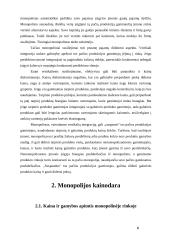 Monopolinė rinka 6 puslapis