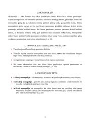 Monopolinės įmonės veikla 2 puslapis