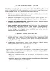 Monopolinės įmonės veikla 3 puslapis