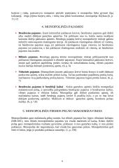 Monopolinės įmonės veikla 6 puslapis